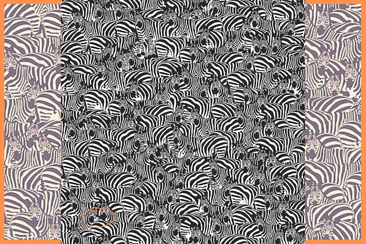 optische illusie - vind de piano verborgen tussen de zebra's - oplossing