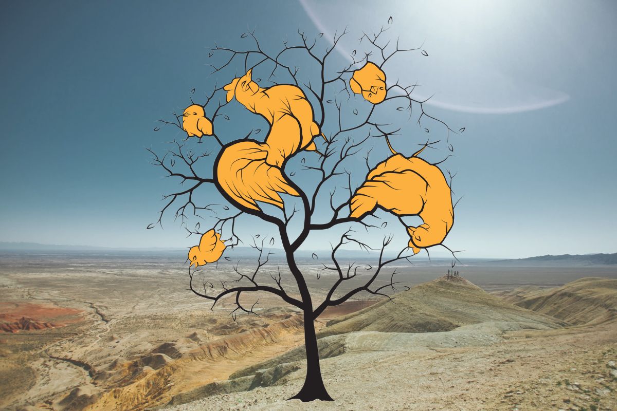 visuele uitdaging - vind de 4 pluimvee verborgen in deze boom - oplossing