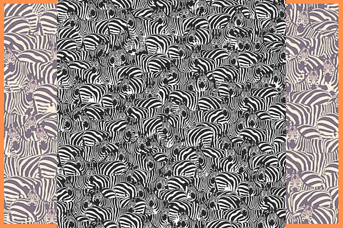 optische illusie - vind de piano verborgen tussen de zebra's - uitdaging